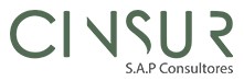 Cinsur · S.A.P Consultores